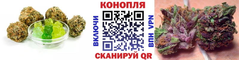 Canna-Cookies конопля  купить наркоту  Петропавловск-Камчатский 