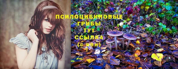 мефедрон Алексеевка