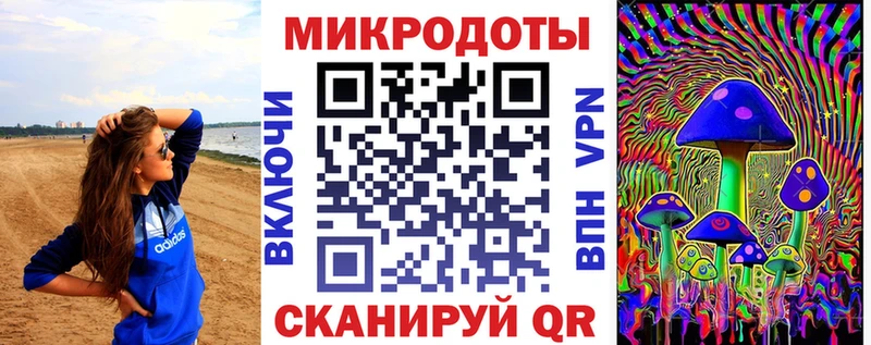 Галлюциногенные грибы Psilocybine cubensis Петропавловск-Камчатский
