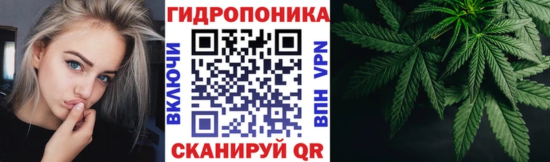 МАРИХУАНА план  Петропавловск-Камчатский 